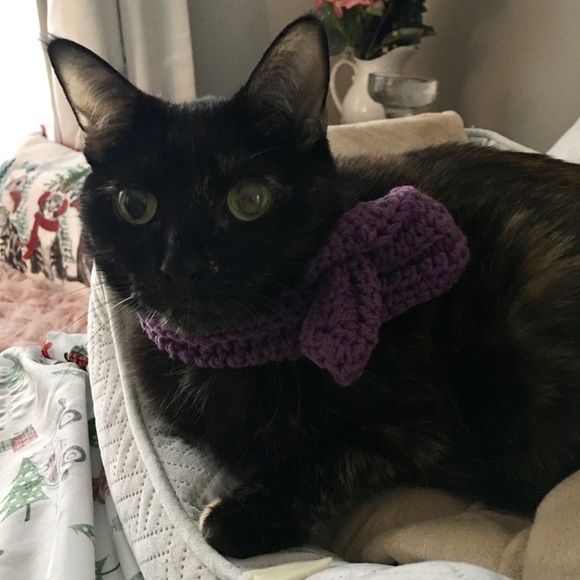 Furr-ocious Styles - Picture 2 of 6